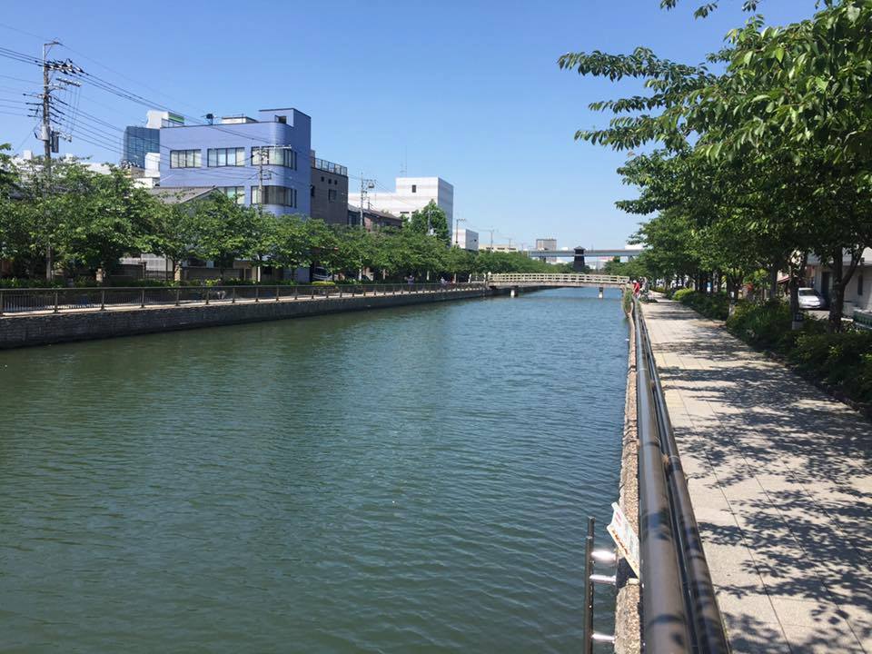 夏の江戸川