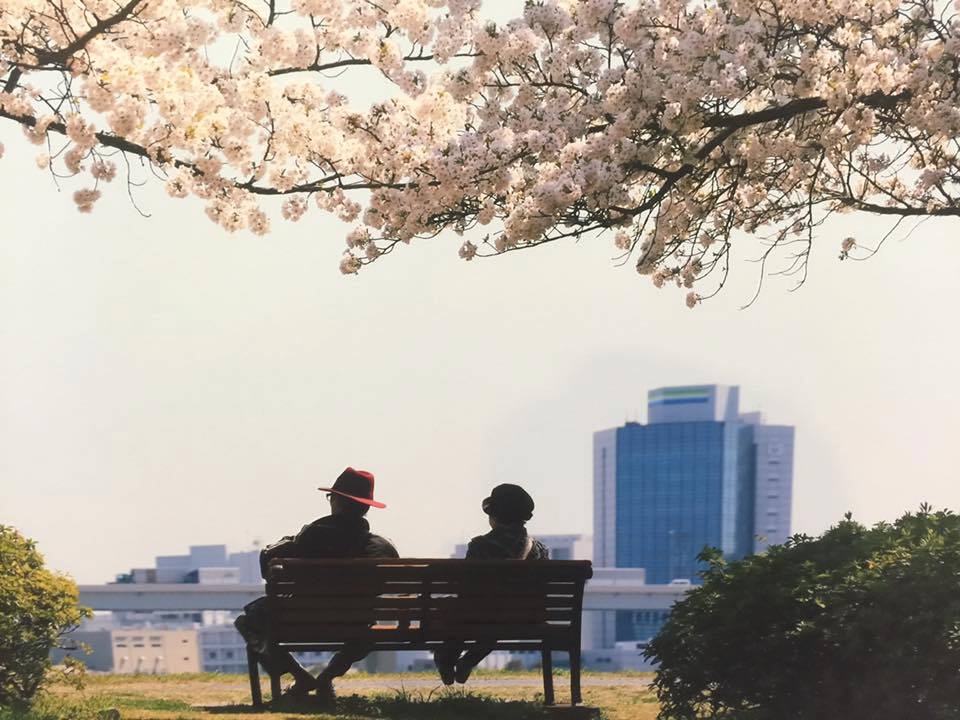 江戸川の桜1